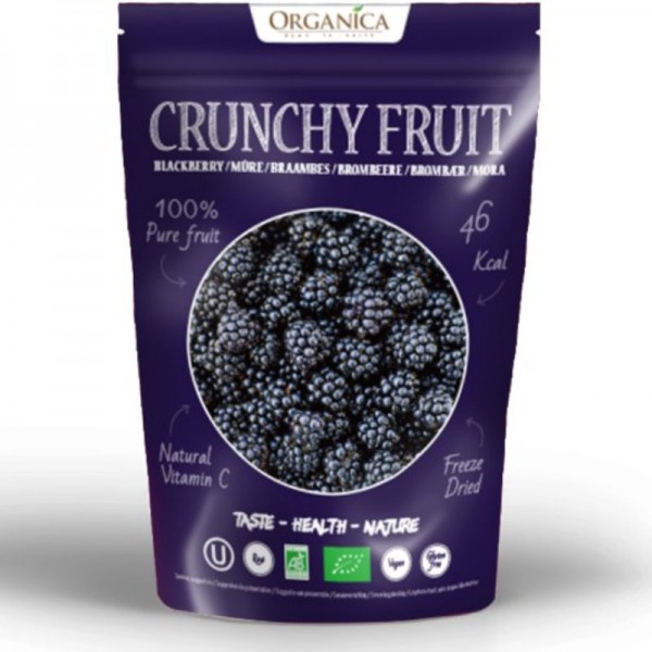 Crunchy Fruit Blackberry Bio, 16g - Organica